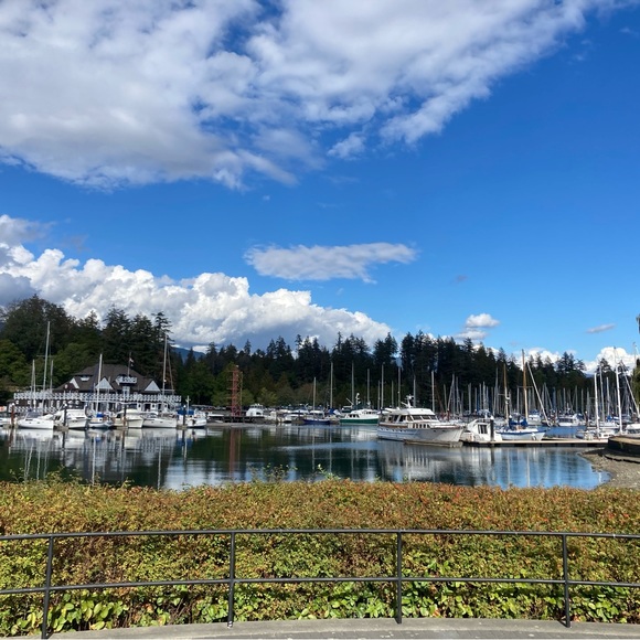 Meet your Posher, Pan - Picture 1 of 1